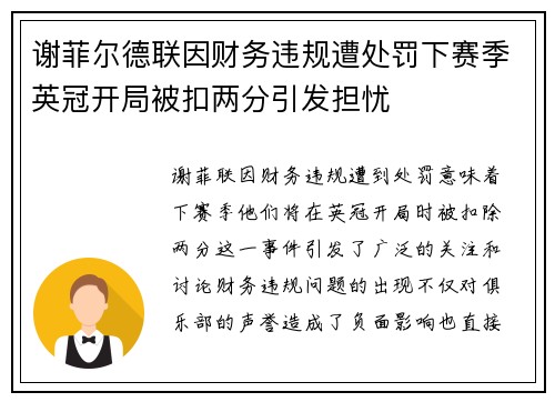 谢菲尔德联因财务违规遭处罚下赛季英冠开局被扣两分引发担忧