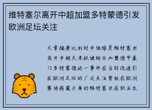 维特塞尔离开中超加盟多特蒙德引发欧洲足坛关注